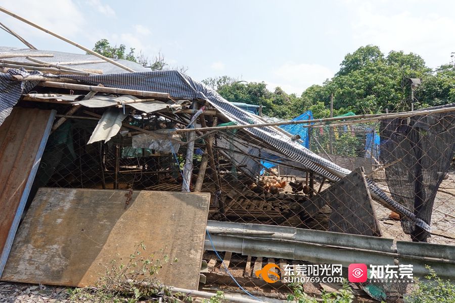 1652775053972015.jpg 1.jpg