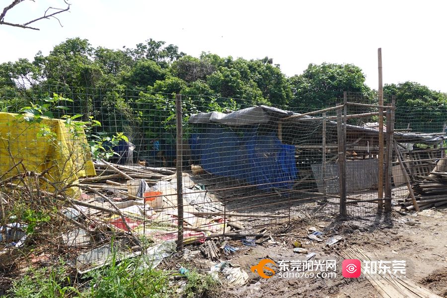 1652775065681344.jpg 2.jpg