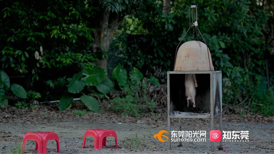 1664421324854570.jpg DSC01581.JPG