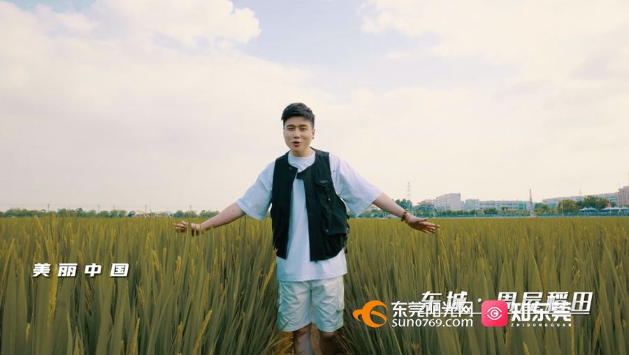 1665973891792996.jpg 乡村振兴、周屋稻田.jpg