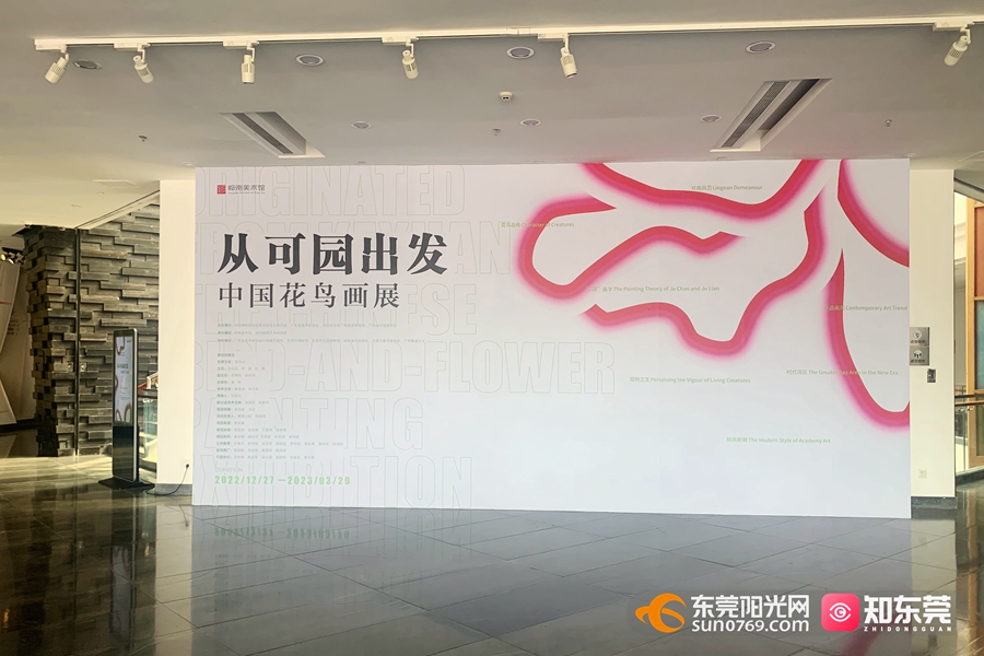 1677229164617829.jpg 7.jpg