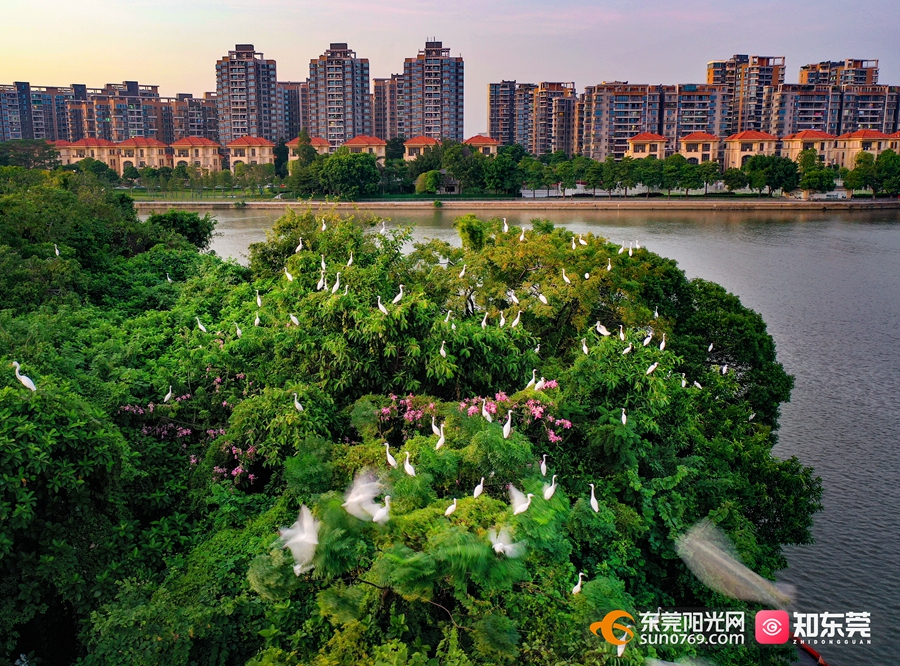 《和谐共处》  40.JPG