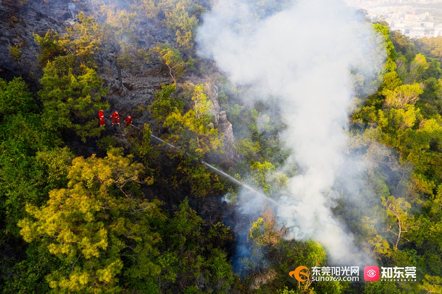 守护绿水青山+戴国辉13728309803 33.jpg