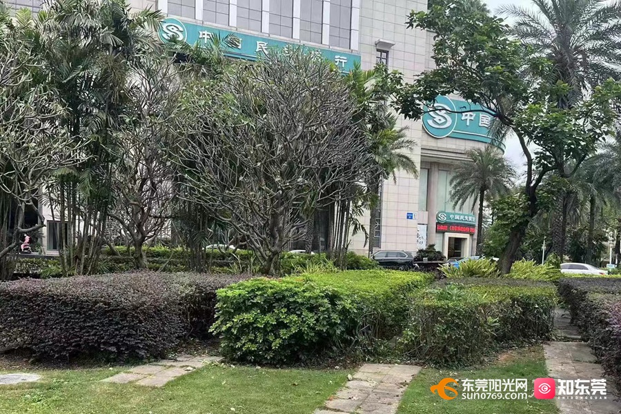 1679395278581004.jpg image007.jpg