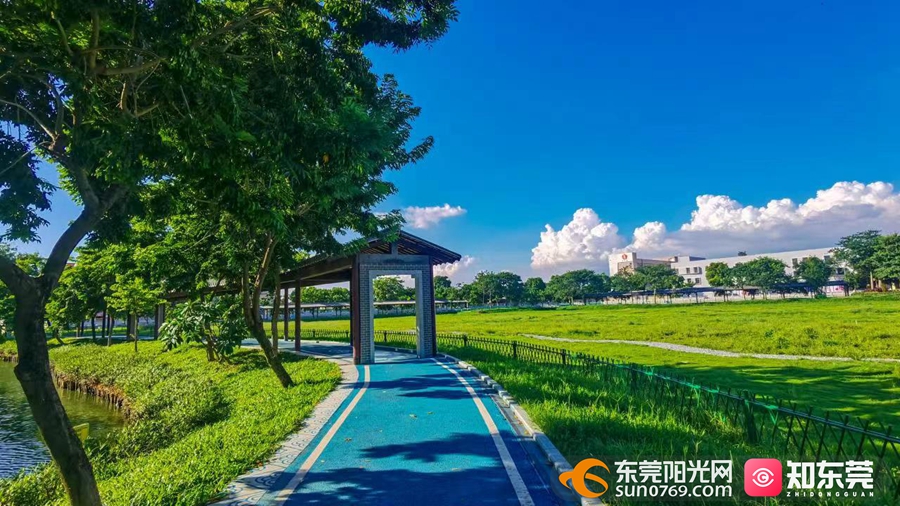 1682680238757882.jpg 道滘大岭丫村三丫涌.jpg