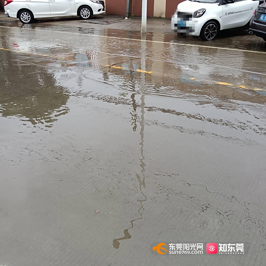 1687225081879320.jpg 1.jpg