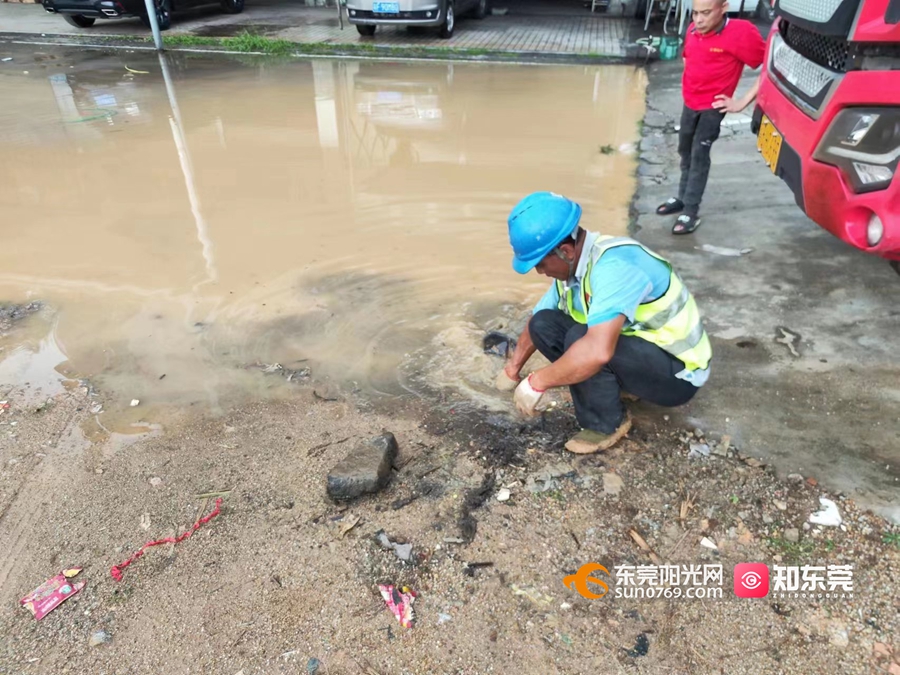 1687171086427685.jpg 图片9.jpg