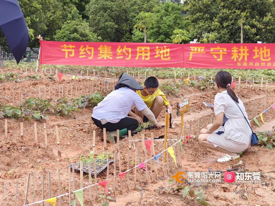 1687597634872972.jpg 23f4ad97b1a5069479e3fd458764ee8.jpg