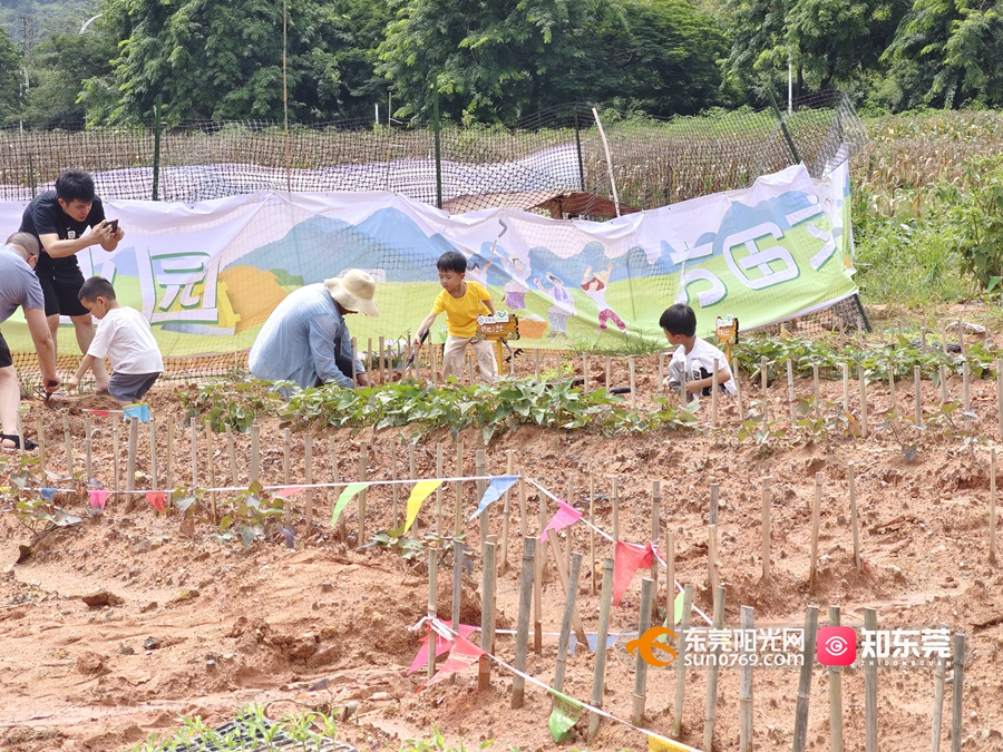 1687597646668889.jpg 2aa5f8f04a4ad08391444572a13e41a.jpg