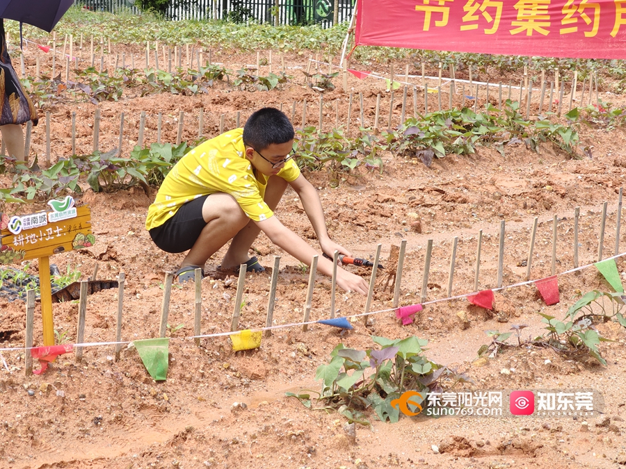 1687597677723219.jpg 7f1d40f8ab8ef44f0bccd6c29a36f4f.jpg