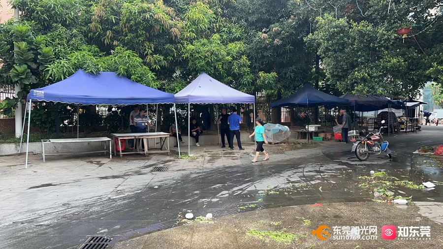 1691730501211554.jpg 2.jpg