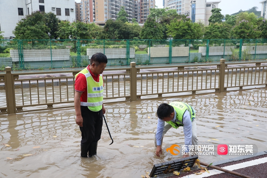 1693988726974239.jpg 0.jpg