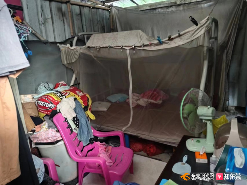 1698391441271283.jpg 黄江镇冬源回收站违规住人.jpg