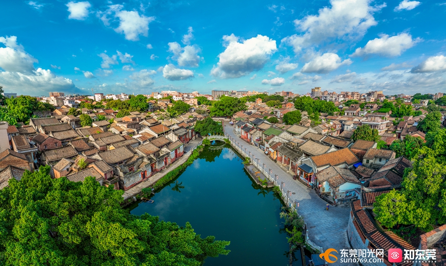 20230621  南社 谢锐坚(3).jpg