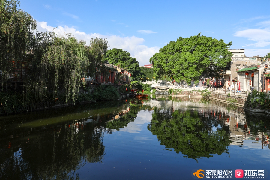 20230606 南社 蓝天白云 谢锐坚 (14).jpg