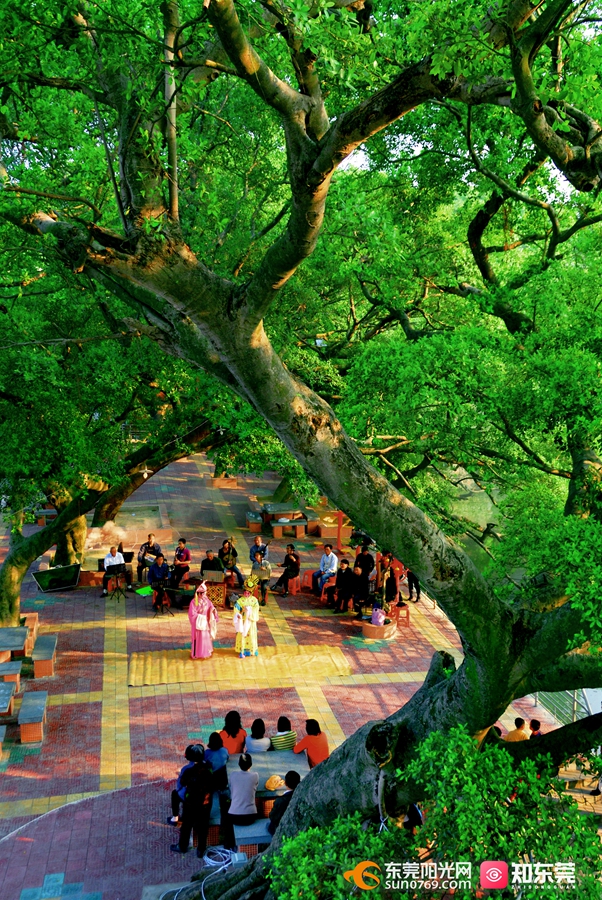 20141205 南社 优秀奖-《文艺园地》  袁松煜摄-ok.jpg