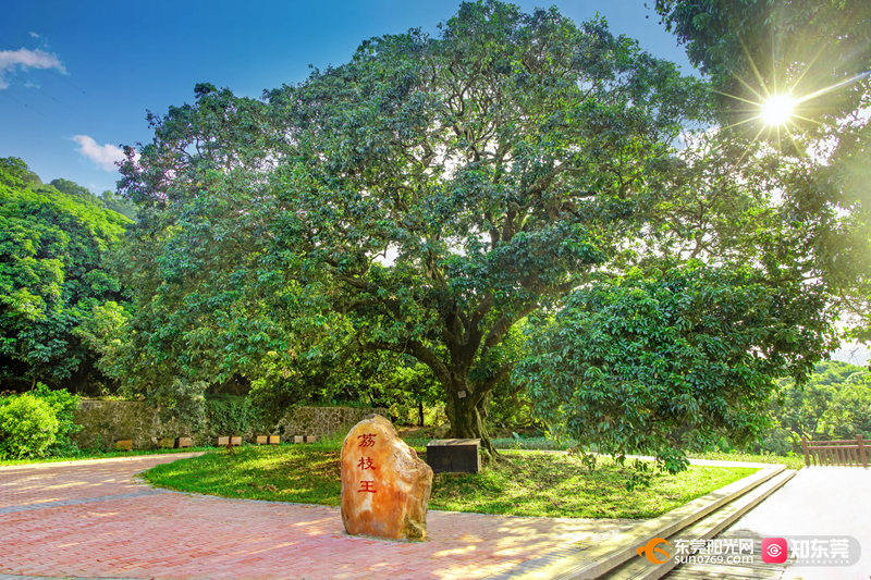 1702264950375398.jpg 微信图片_20231211110741.jpg