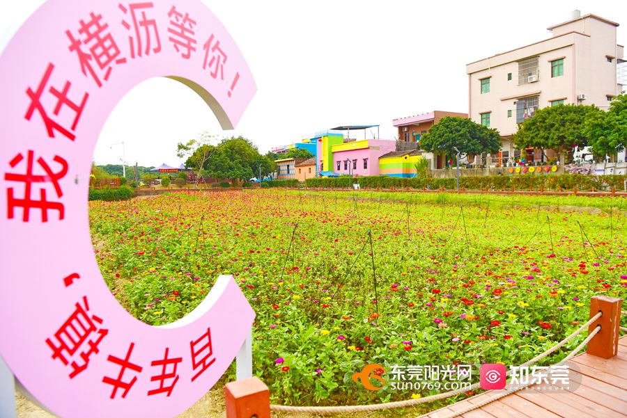 1707209585395491.jpg 微信图片_20240206164427.jpg