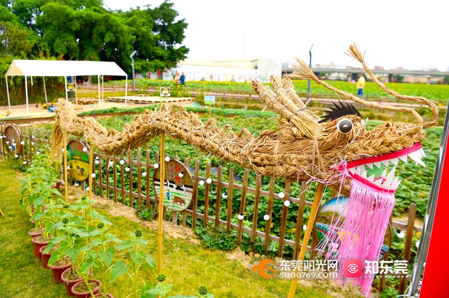 1707209512171643.jpg 微信图片_20240206164624.jpg