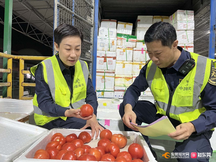 1708935915233338.jpg 1.jpg