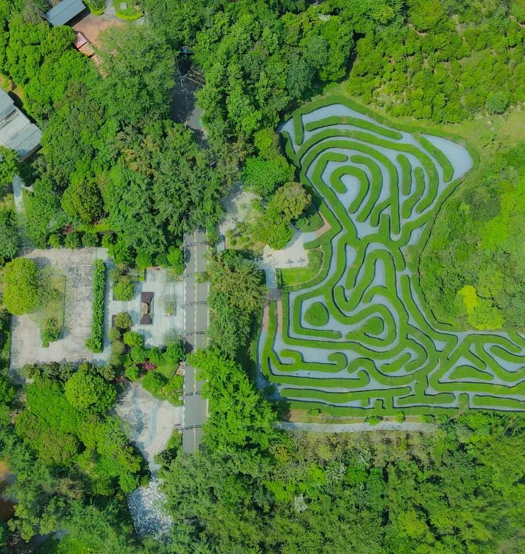 游园更轻松 东莞市大屏嶂森林公园园区景点接驳专线即将开通