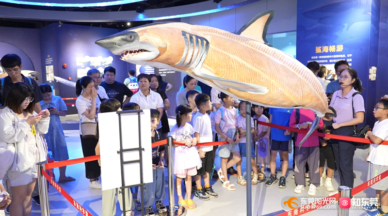 1721548743836314.jpg 微信图片_20240721155114.jpg