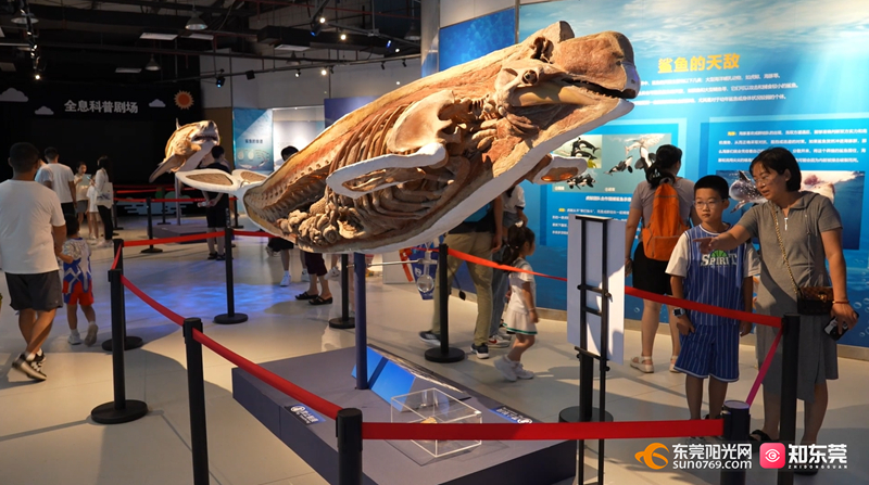 1721548752740200.jpg 微信图片_20240721155136.jpg