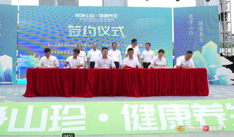 1729233453842417.png 02.png