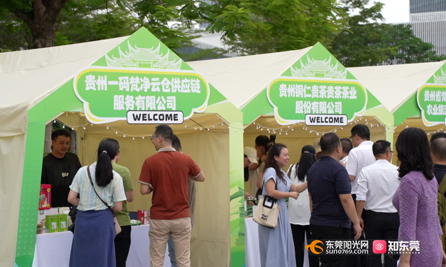 1729233226477760.png 01.png