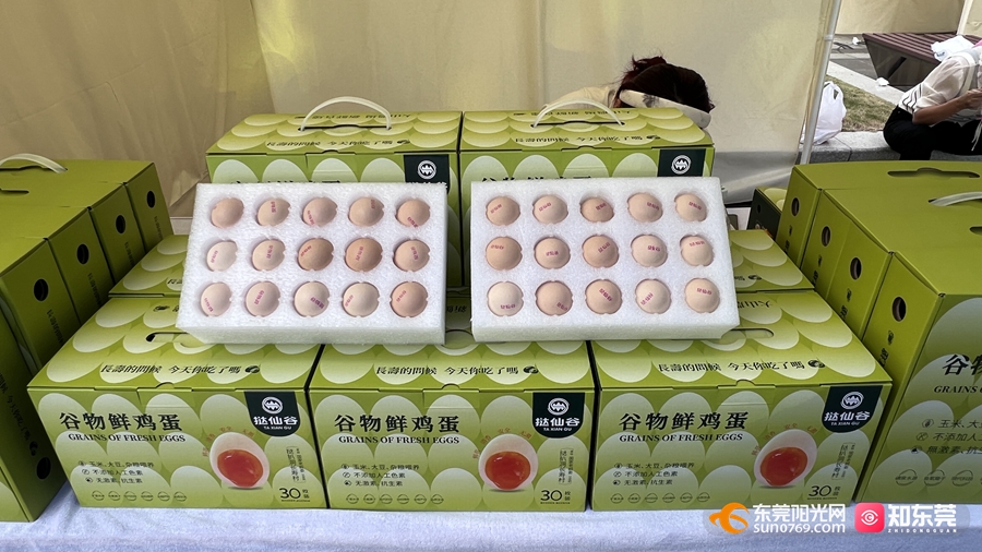 1729232909680936.jpg 2.jpg