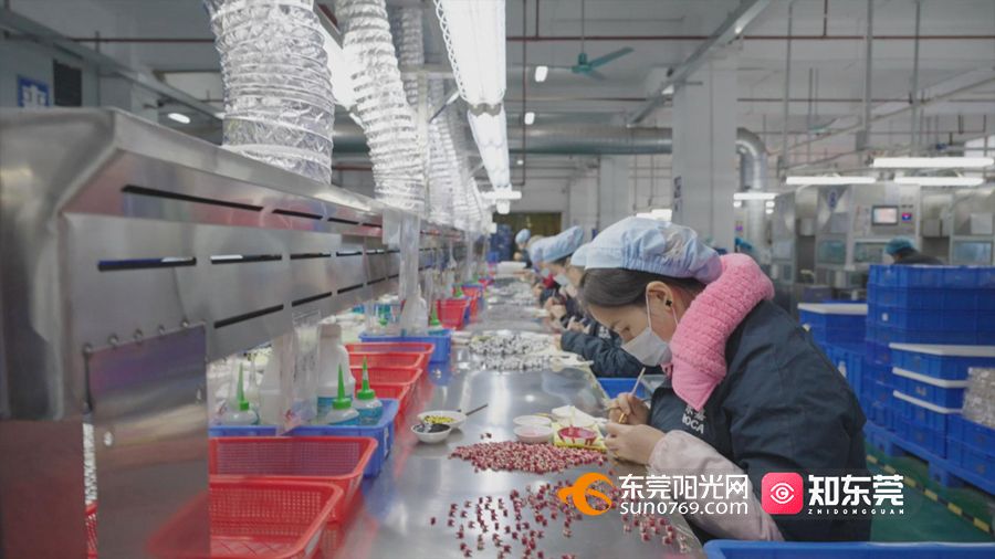 1733484572399331.jpg 2产业协作建“玩具梦工厂” 打造玩具产业集群.jpg