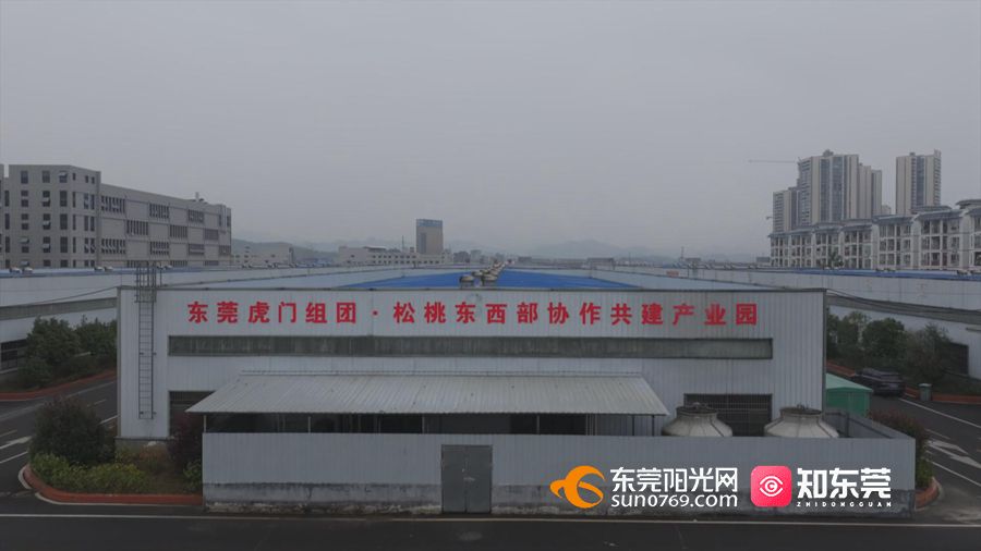 1733484621733378.jpg 5产业协作建“玩具梦工厂” 打造玩具产业集群.jpg