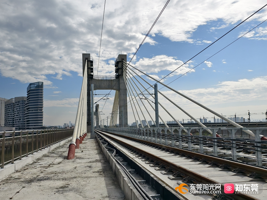 1734317192807437.jpg 02.jpg