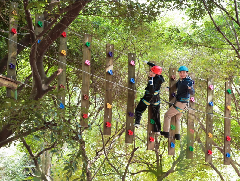 1736243512168967.jpg 39湾区自然学校 .jpg