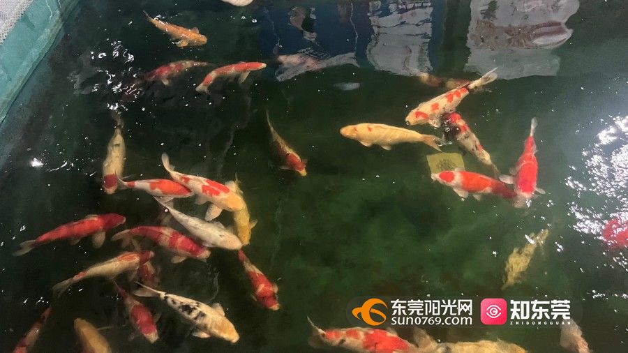 1739864123395515.jpg 微信图片_20250218153237.jpg