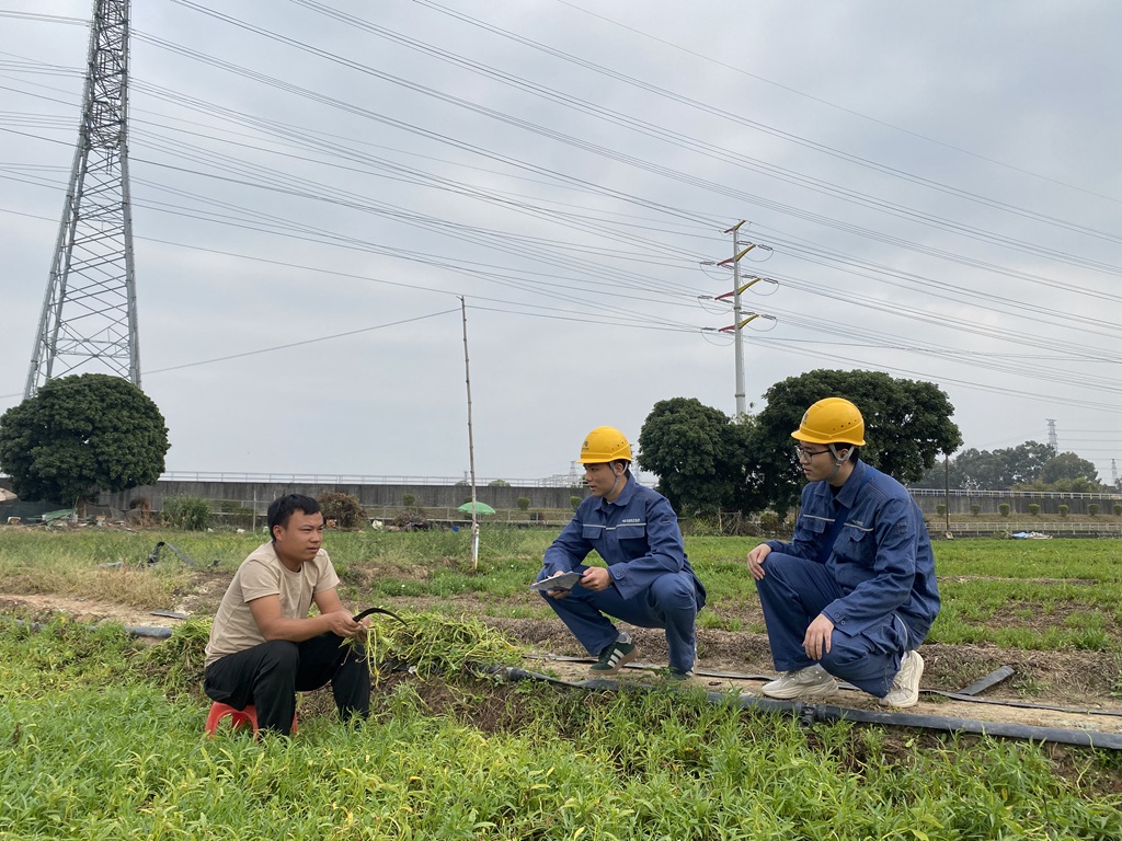 1741689530819887.jpg 近日,南方电网广东东莞东南区供电局组织工作人员深入田间,对农田周边的供电线路、变压器等相关设施进行全面检查,为春耕生产保驾护航。(杨映菊 摄).jpg