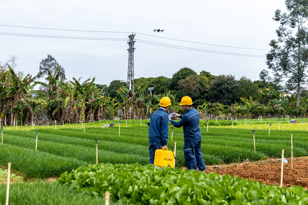 1741689537259771.jpg 近日,南方电网广东东莞东北区供电局工作人员穿梭田间进行供电线路巡视检查,保障农业生产用电平稳供应(张新城 摄)1.jpg