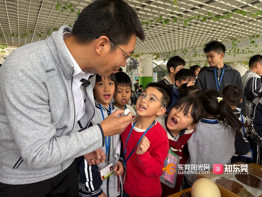 1742302784701775.jpg 微信图片_20250318205444.jpg