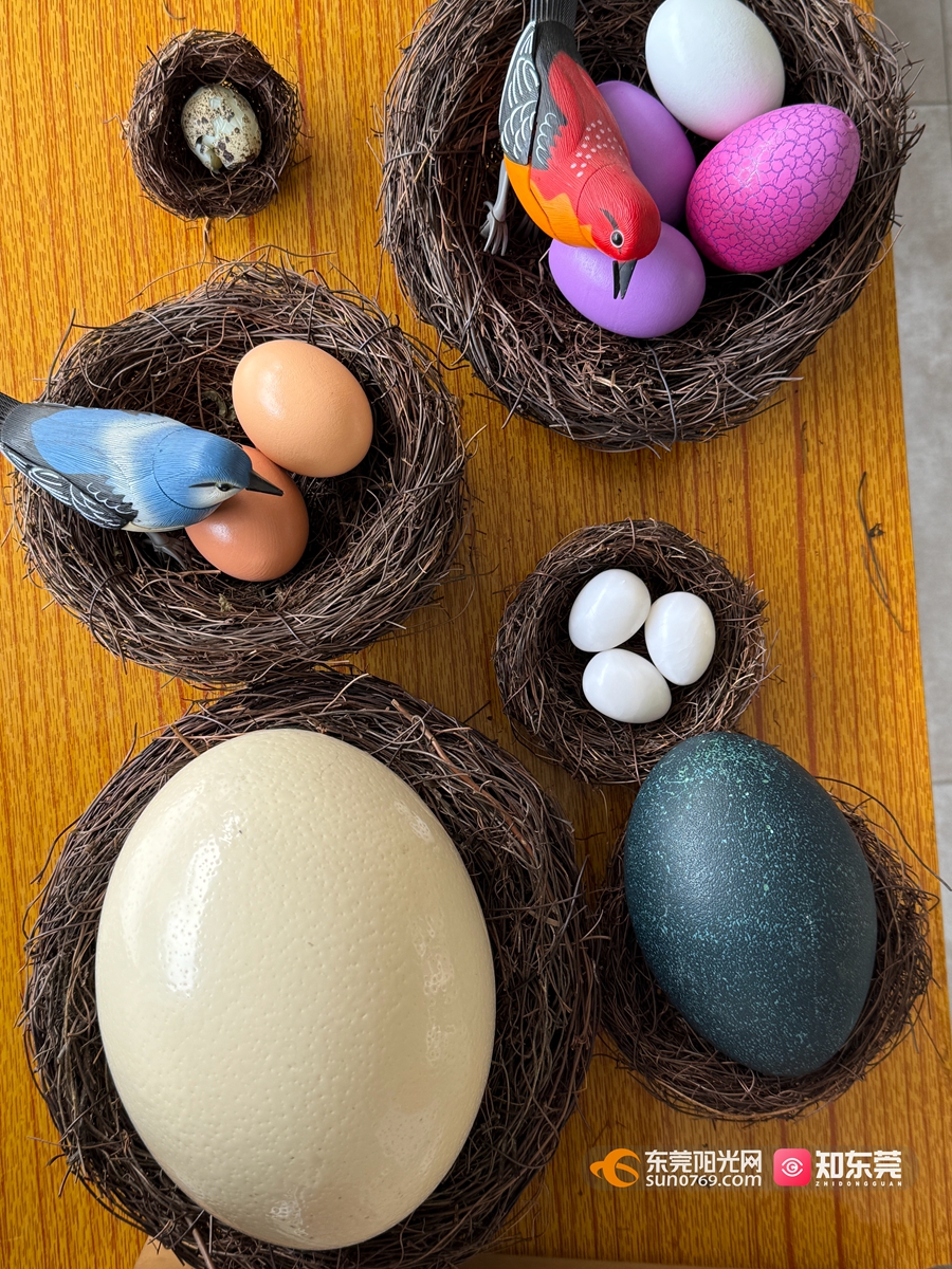 1742302643120526.jpg 微信图片_20250318205358.jpg