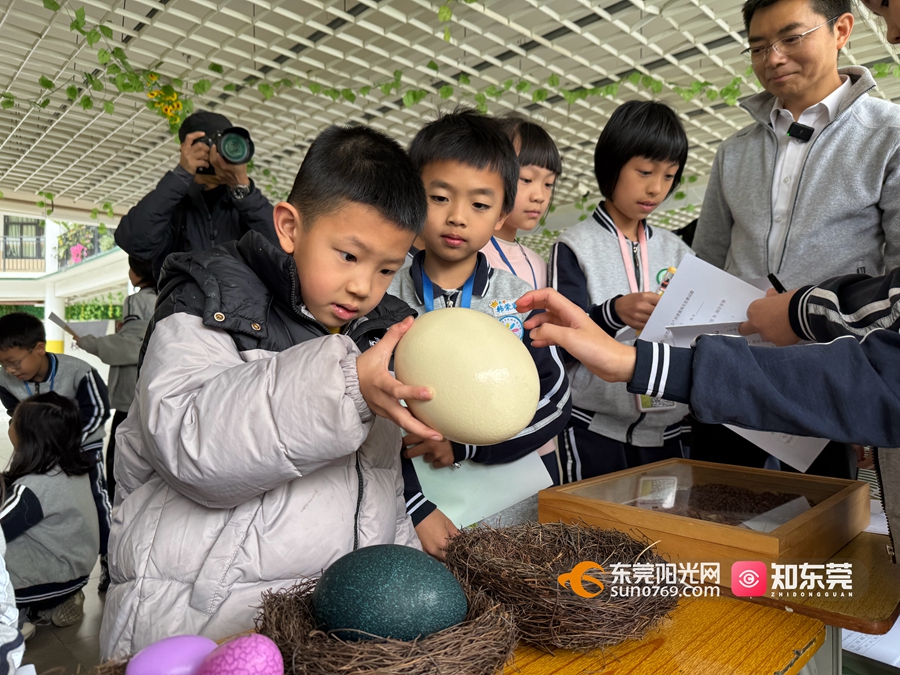 1742302746666160.jpg 微信图片_20250318205450.jpg