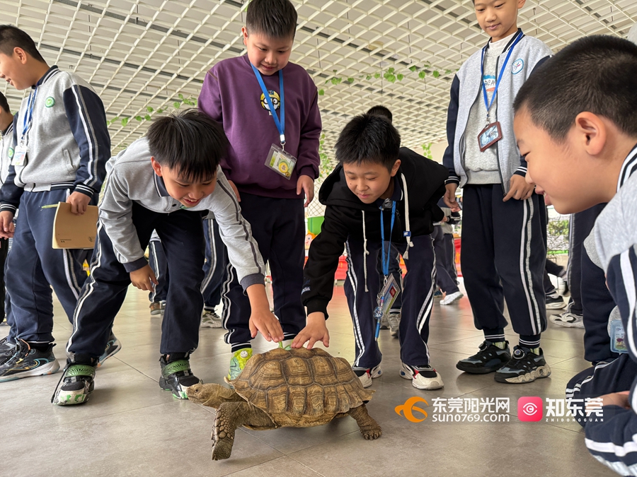 1742302753988629.jpg 微信图片_20250318205518.jpg