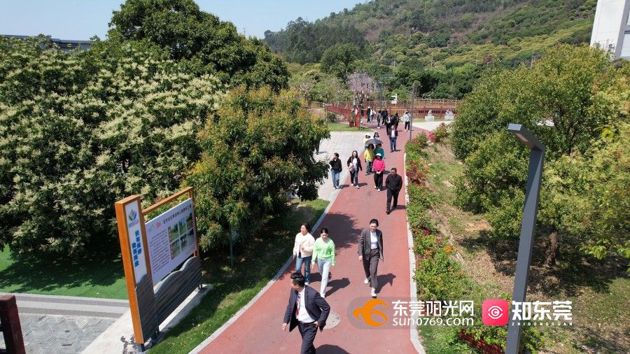 1743492841816234.jpg 3月26日 (1)(11).jpg