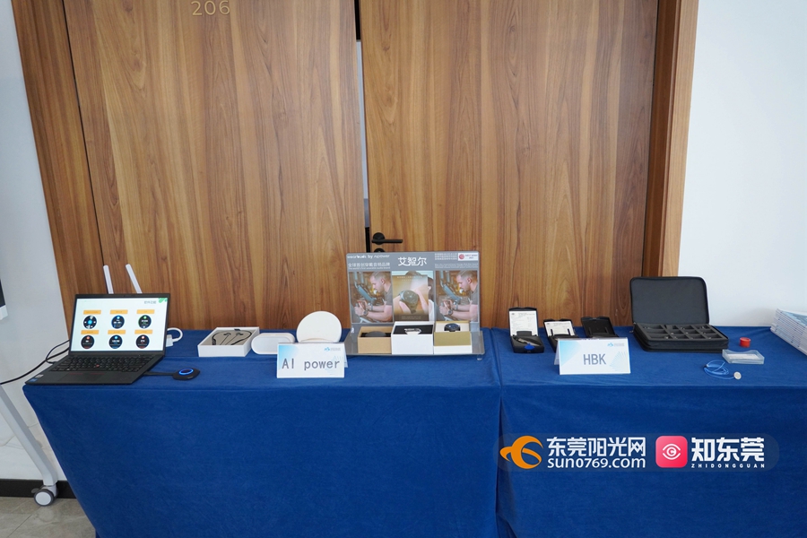 大湾区智能传感器工程中心产品.JPG