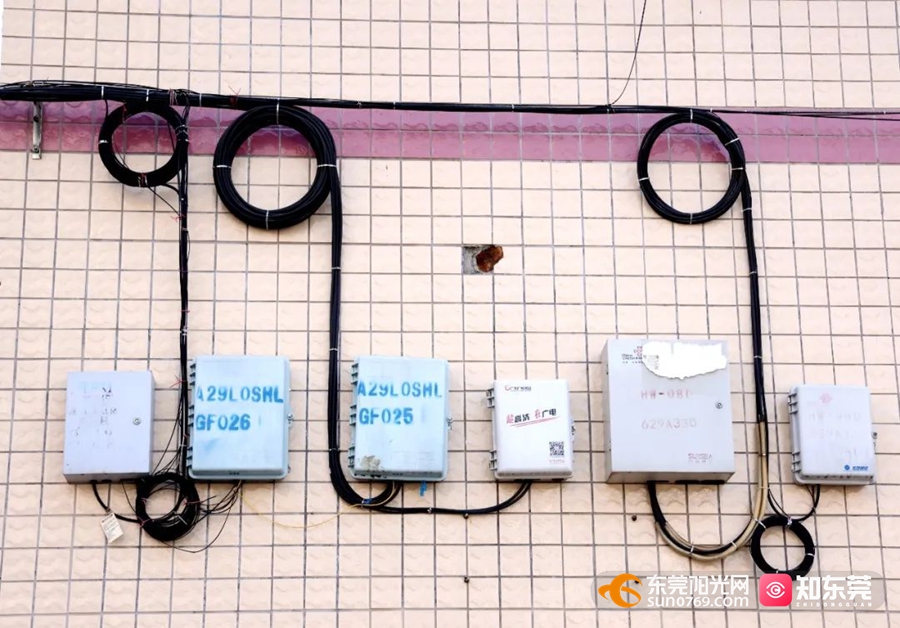 1745374266760013.jpg 2.jpg