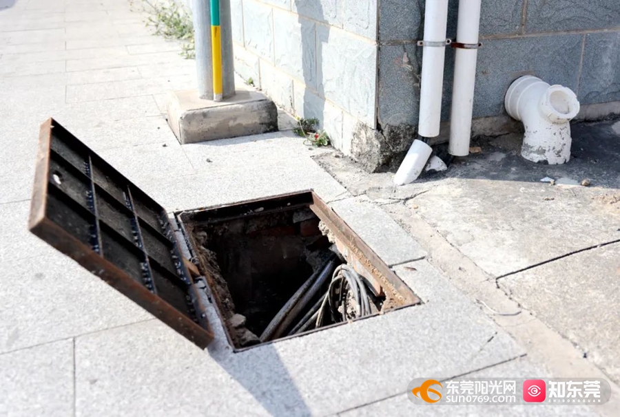 1745374276863208.jpg 3.jpg