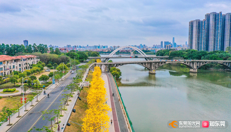 1745915509236627.jpg 微信图片_20250429154200.jpg