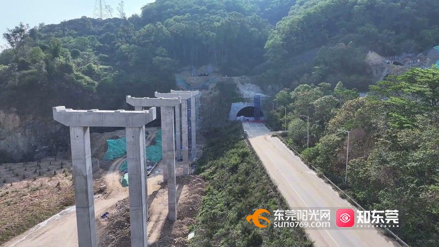 1745288463878412.jpg 12.jpg