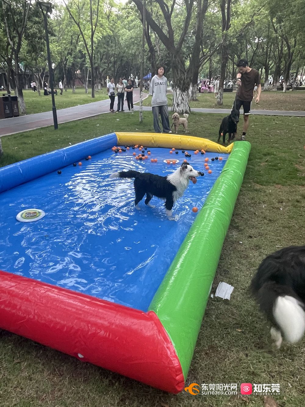 1746265727731374.jpg 微信图片_20250503174653.jpg