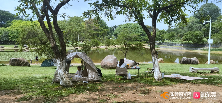 1746496221965479.jpg 1.jpg