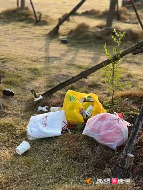 1746496529235769.jpg 微信图片_20250506095430.jpg